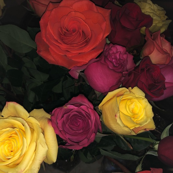 Meet your Posher, Ghada - Picture 1 of 1